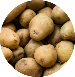 Patatas portada