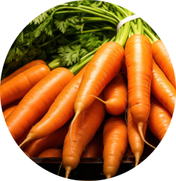 Zanahoria portada