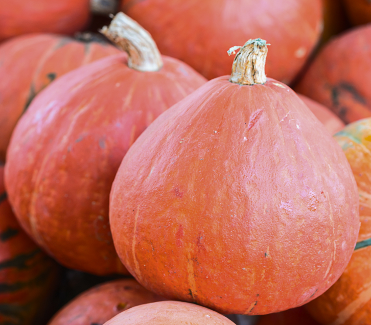 calabaza potimarron