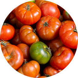 tomate manjar redondo