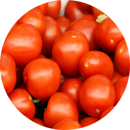 tomate pera redondo