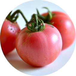 tomate rosa redondo